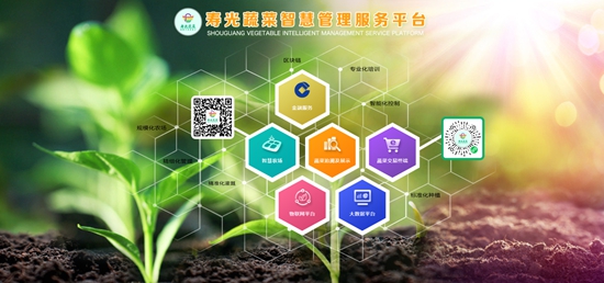 濰坊科技學院校辦企業環球軟件助力蔬菜交易走上“云端”，展現科技推廣與應用服務新高度